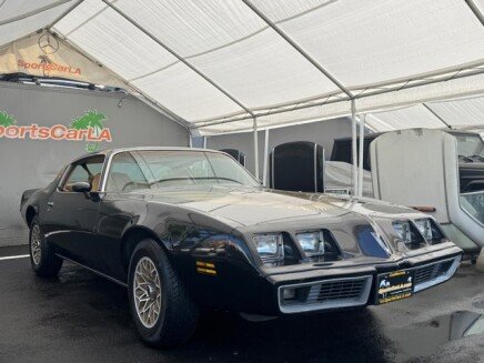 Photo 1 for 1979 Pontiac Firebird