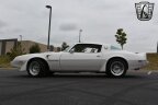 Thumbnail Photo 3 for 1979 Pontiac Firebird Trans Am