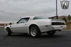 Thumbnail Photo 4 for 1979 Pontiac Firebird Trans Am