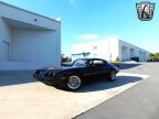 Thumbnail Photo 2 for 1979 Pontiac Firebird Trans Am