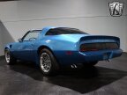 Thumbnail Photo 5 for 1979 Pontiac Firebird Trans Am