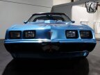 Thumbnail Photo 2 for 1979 Pontiac Firebird Trans Am