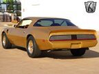 Thumbnail Photo 4 for 1979 Pontiac Firebird Trans Am