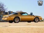 Thumbnail Photo 6 for 1979 Pontiac Firebird Trans Am