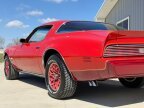 Thumbnail Photo 4 for 1979 Pontiac Firebird