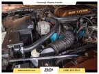 Thumbnail Photo 4 for 1979 Pontiac Firebird