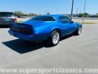 Thumbnail Photo 6 for 1979 Pontiac Firebird