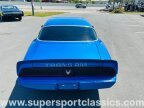 Thumbnail Photo 5 for 1979 Pontiac Firebird