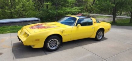 Photo 1 for 1979 Pontiac Firebird