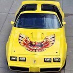 Thumbnail Photo 1 for 1979 Pontiac Firebird