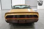 Thumbnail Photo 4 for 1979 Pontiac Firebird Formula