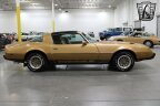 Thumbnail Photo 5 for 1979 Pontiac Firebird Formula