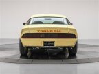 Thumbnail Photo 3 for 1979 Pontiac Firebird