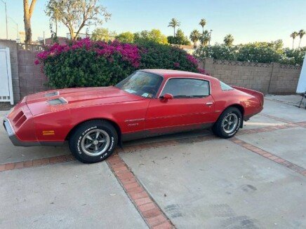 Photo 1 for 1979 Pontiac Firebird Formula