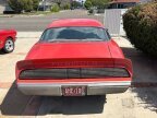 Thumbnail Photo 2 for 1979 Pontiac Firebird Formula