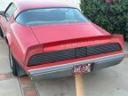 Thumbnail Photo 6 for 1979 Pontiac Firebird Formula