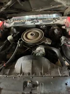 Thumbnail Photo 6 for 1979 Pontiac Firebird
