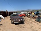 Thumbnail Photo 2 for 1979 Pontiac Firebird