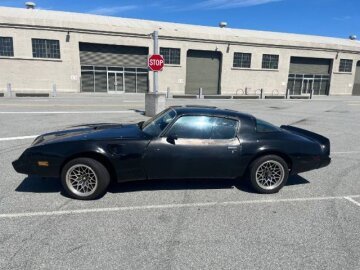 1979 Pontiac Firebird Trans Am