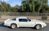 1979 Pontiac Firebird