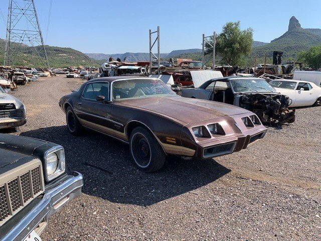 1979 Pontiac Firebird