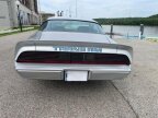 Thumbnail Photo 5 for 1979 Pontiac Trans Am for Sale by Owner