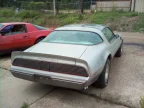 Thumbnail Photo 5 for 1979 Pontiac Trans Am