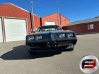 Thumbnail Photo 3 for 1979 Pontiac Trans Am