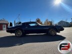 Thumbnail Photo 1 for 1979 Pontiac Trans Am