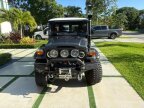 Thumbnail Photo 1 for 1979 Toyota Land Cruiser FJ40 for Sale by Owner