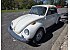 1979 Volkswagen Beetle