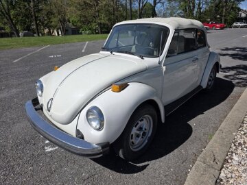 1979 Volkswagen Beetle