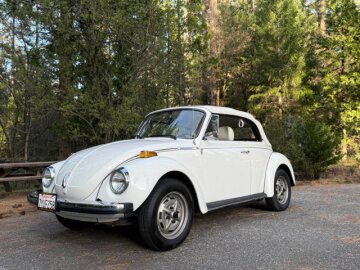 1979 Volkswagen Beetle