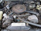 Thumbnail Photo 5 for 1980 Cadillac Seville