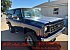 1980 Chevrolet Blazer
