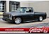 1980 Chevrolet C/K Truck