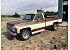 1980 Chevrolet C/K Truck