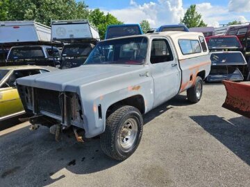 1980 Chevrolet C/K Truck
