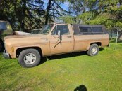 1980 Chevrolet C/K Truck