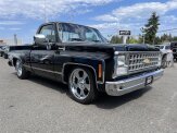 1980 Chevrolet C/K Truck 2WD Regular Cab 1500