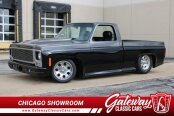 1980 Chevrolet C/K Truck