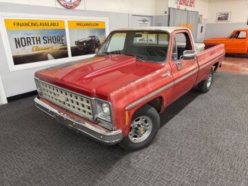 1980 Chevrolet C/K Truck