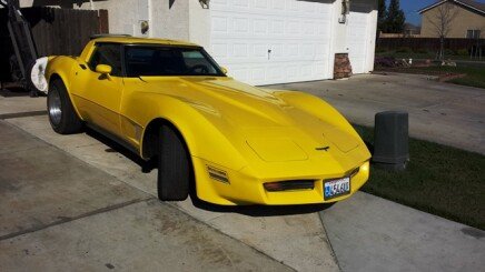 Photo 1 for 1980 Chevrolet Corvette for Sale by Owner