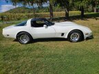 Thumbnail Photo 5 for 1980 Chevrolet Corvette