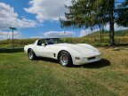 Thumbnail Photo 3 for 1980 Chevrolet Corvette