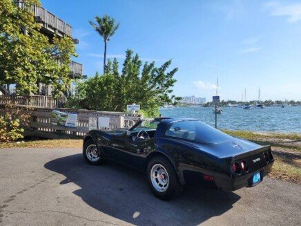 Photo 1 for 1980 Chevrolet Corvette