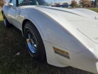 Thumbnail Photo 3 for 1980 Chevrolet Corvette