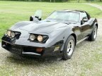 Thumbnail Photo 3 for 1980 Chevrolet Corvette Coupe for Sale by Owner