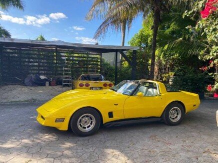 Photo 1 for 1980 Chevrolet Corvette