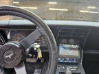 Thumbnail Photo 1 for 1980 Chevrolet Corvette Stingray